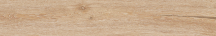 Pavimento Effetto Legno 20x120 RT